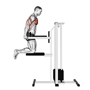 Assisted chest dip (kneeling) demonstration