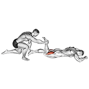 Assisted prone hamstring demonstration