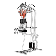 Assisted pull-up demonstration