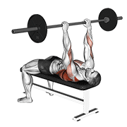 Barbell pullover to press demonstration