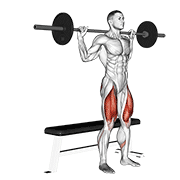 Barbell bench squat demonstration