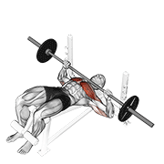 Barbell decline bench press demonstration