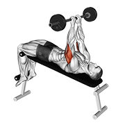Barbell decline close grip to skull press demonstration