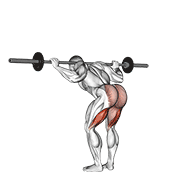 Barbell good morning demonstration