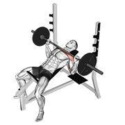 Barbell incline bench press demonstration