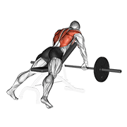 Barbell incline row demonstration