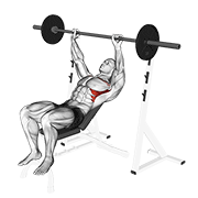 Barbell incline shoulder raise demonstration