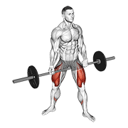 Barbell jefferson squat demonstration