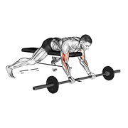 Barbell lying preacher curl demonstration