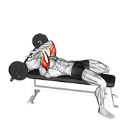 Barbell lying triceps extension skull crusher demonstration