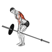 Barbell one arm bent over row demonstration