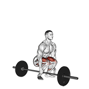 Barbell one arm side deadlift demonstration