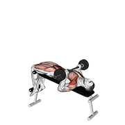 Barbell press sit-up demonstration