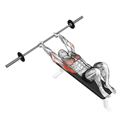 Barbell pullover demonstration