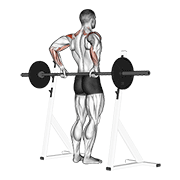 Barbell rear delt raise demonstration
