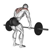 Barbell rear delt row demonstration