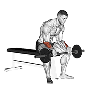Barbell revers wrist curl v. 2 demonstration