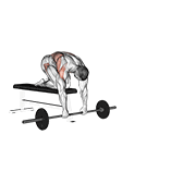 Barbell rollerout from bench demonstration
