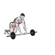 Barbell rollerout demonstration