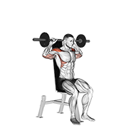 Barbell seated bradford rocky press demonstration