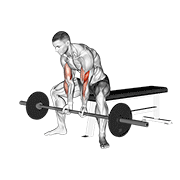 Barbell seated close-grip concentration curl demonstration