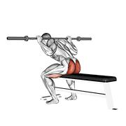 Barbell seated good morning demonstration