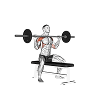 Barbell seated overhead press demonstration