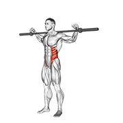 Barbell side bent v. 2 demonstration