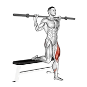 Barbell single leg split squat demonstration