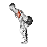 Barbell skier demonstration