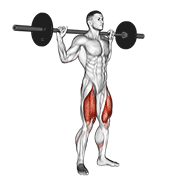 Barbell speed squat demonstration