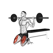 Barbell squat (on knees) demonstration