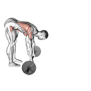 Barbell standing ab rollerout demonstration