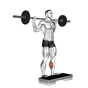 Barbell standing leg calf raise demonstration
