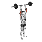 Barbell standing overhead triceps extension demonstration