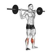 Barbell standing rocking leg calf raise demonstration