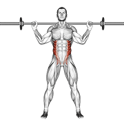 Barbell standing twist demonstration