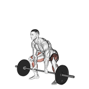 Barbell sumo deadlift demonstration