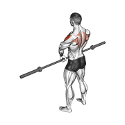 Barbell upright row v. 3 demonstration