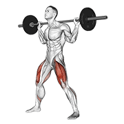 Barbell wide squat demonstration