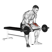 Barbell wrist curl v. 2 demonstration
