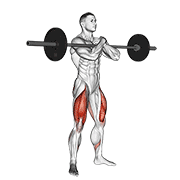 Barbell zercher squat demonstration