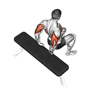Bench dip (knees bent) demonstration