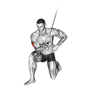 Cable concentration extension (on knee) demonstration