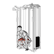 Cable deadlift demonstration
