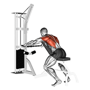 Cable decline seated wide-grip row demonstration