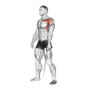 Cable forward raise demonstration