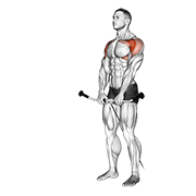 Cable front raise demonstration