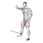 Cable hip adduction demonstration