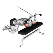 Cable kneeling triceps extension demonstration